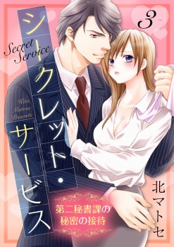 「シークレット・サービス 第二秘書課の秘密の接待3」