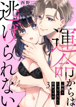 「運命からは逃げられない ～一晩限りじゃないなんて誤算です!?～3」